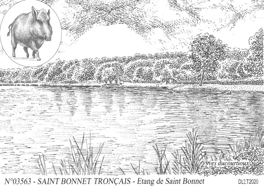 N 03563 - SAINT BONNET TRONCAIS - tang de saint bonnet